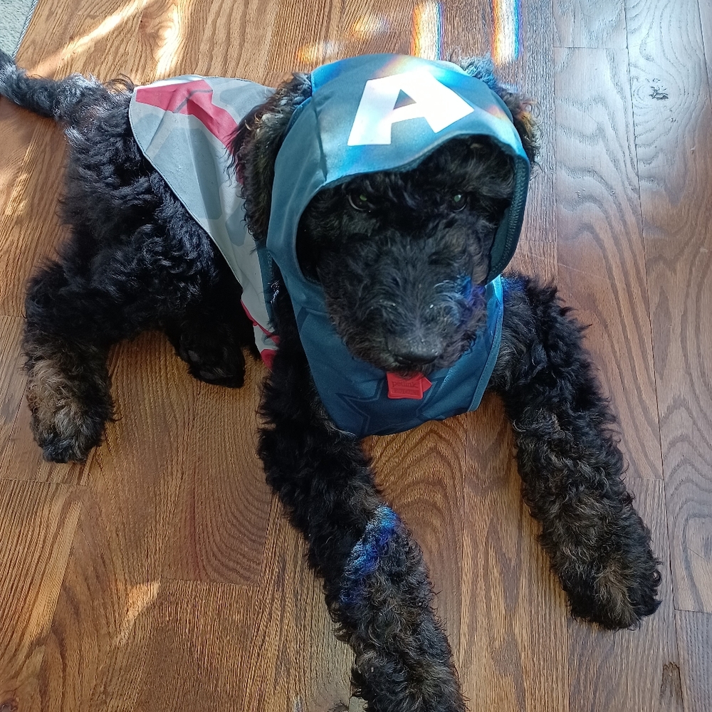 Marvel avengers costume